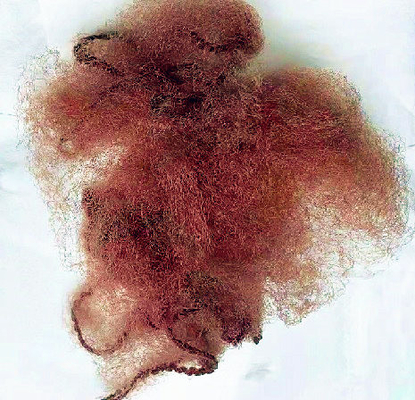 ブラウンのナイロン見えないHairnetsは14&quot;使い捨て可能な毛網一致する